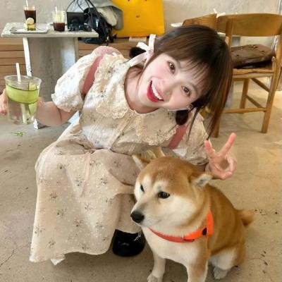 纠结之旅