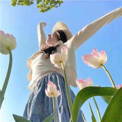 封神榜：决战万仙阵